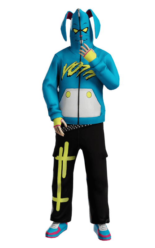 Skin 17079